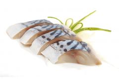 SASHIMI
