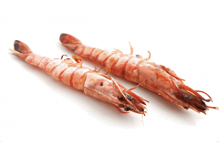 YAKITORI